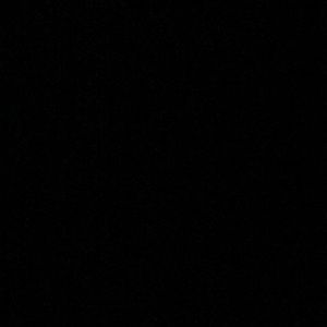 Meet your Posher, Donte